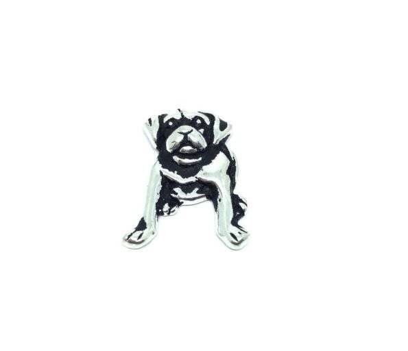 DCD-016 Bulldog Charm