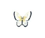 Large Butterfly Enamel Charm