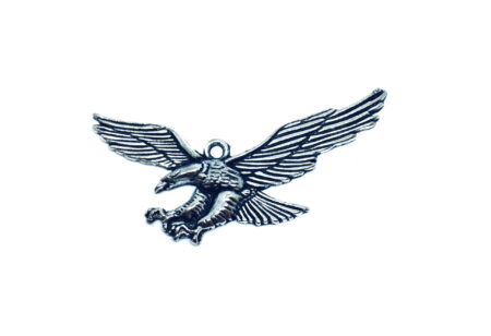 Flying Eagle Charm