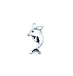 Silver Fish Charm