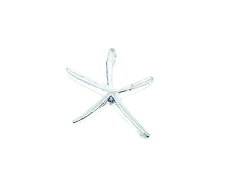 Large Starfish Charm