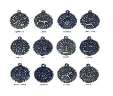 12 Zodiac Sign Charms