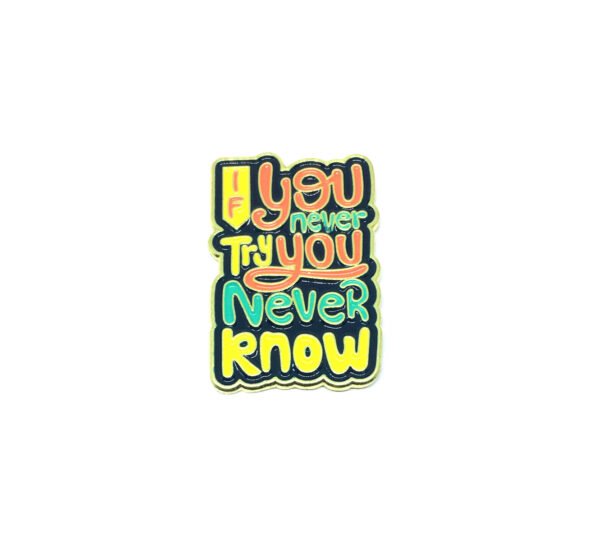 SCIN-016 If you Never try You Never Know Charm
