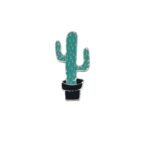 Charm Cactus