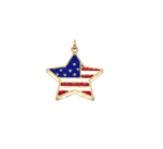 SUSA-004 American flag star charm